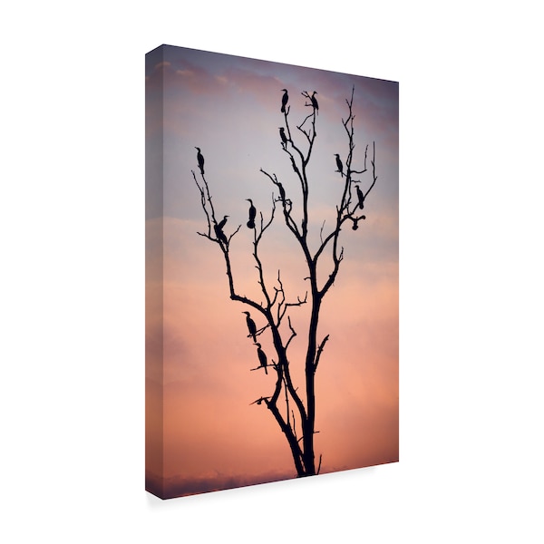 Niklas Rosenkilde 'Before The Sunset' Canvas Art,16x24